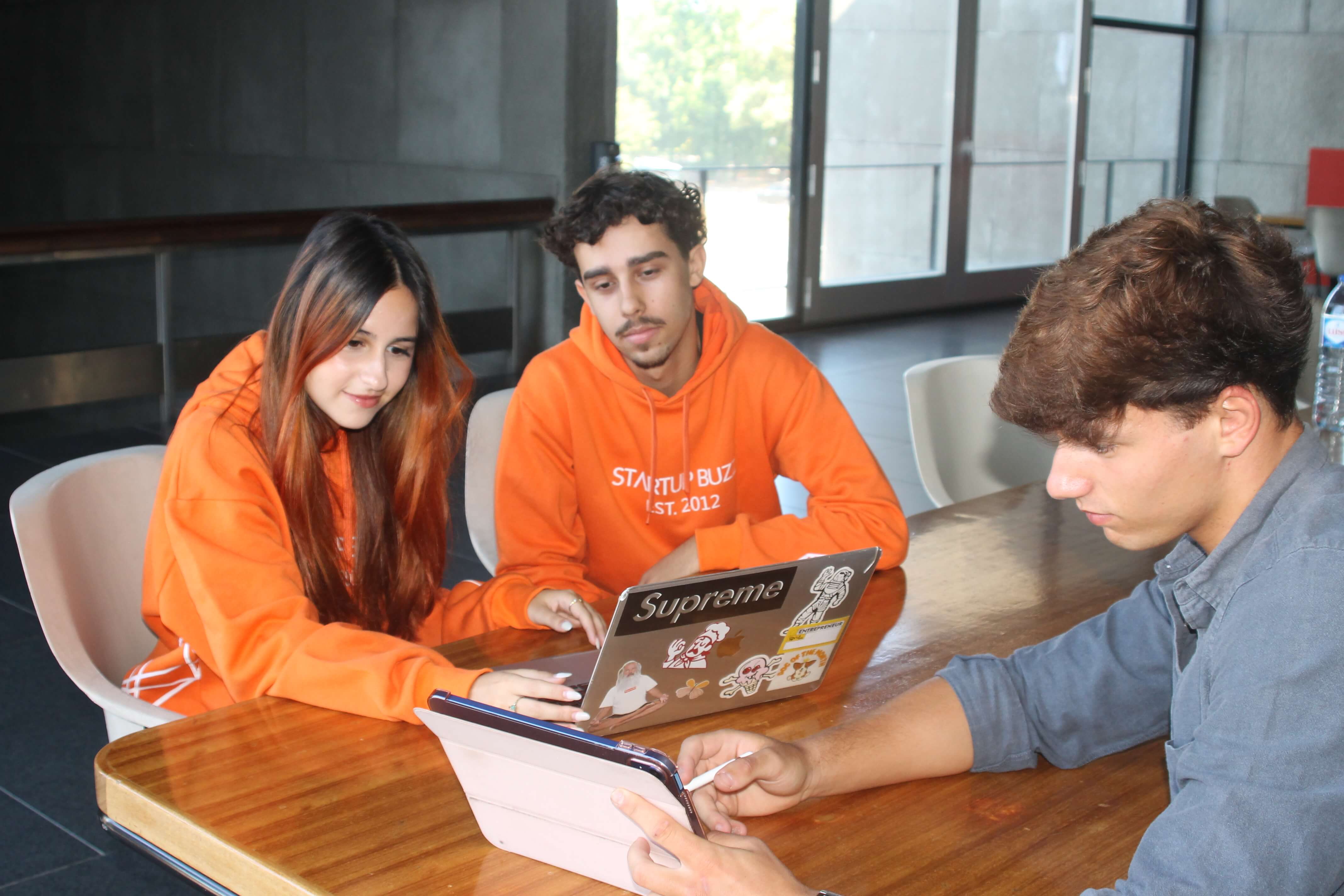 SELEÇÃO DAS IDEIAS